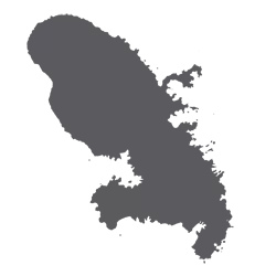 La Martinique branch